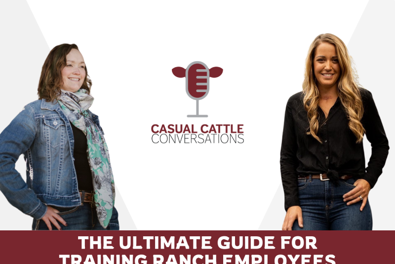 The Ultimate Guide for Training Ranch Employees - Drovers
