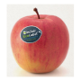 Sinclair's Ecolabel is compostable and biodegradable.