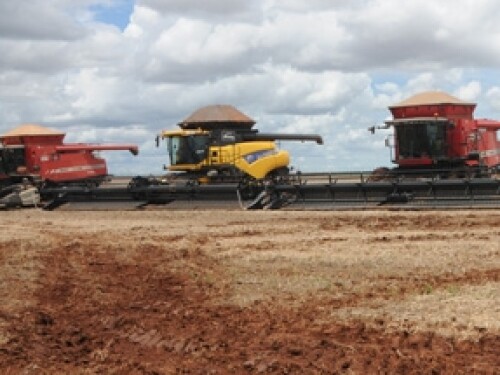 Brazil soybean harvest