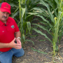 Ken Ferrie, Farm Journal Field Agronomist
