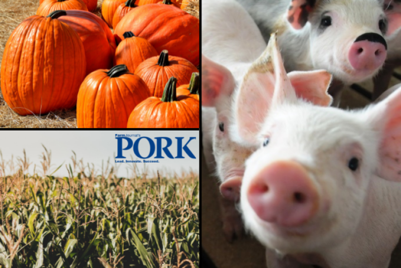 Porktober