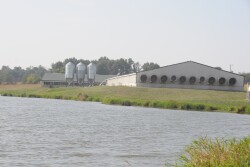 The exterior of a hog barn in Missouri. 