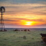 Turkey Track Ranch