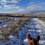 Scenic Mesa Ranch CO