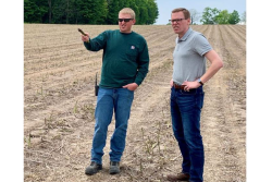 Michigan asparagus