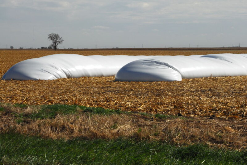 Indigo will lease existing bags or bins to store grain earmarked for the program or finance grain-bagging systems at no upfront cost for farmers who grow corn, soybeans and wheat.