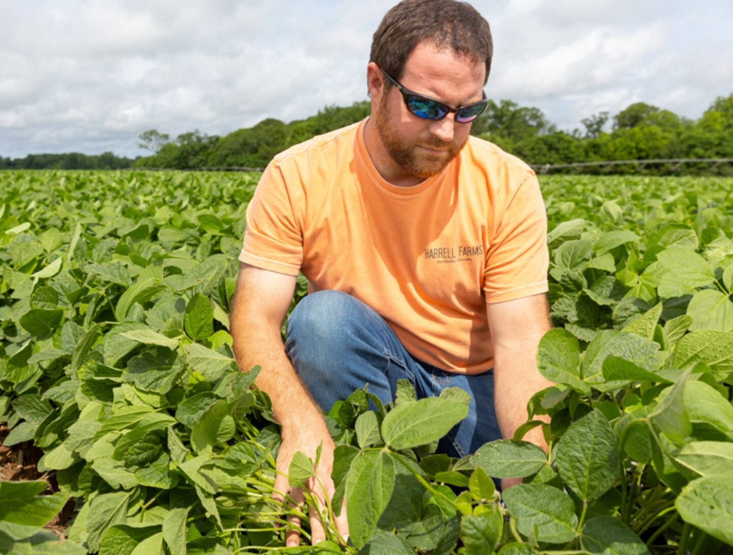 KNEELING BEANS ALEX HARRELL.jpg
