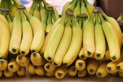Bananas