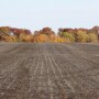 fall_field