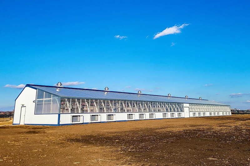 202403-chs-greenhouse_1 WEB.jpg