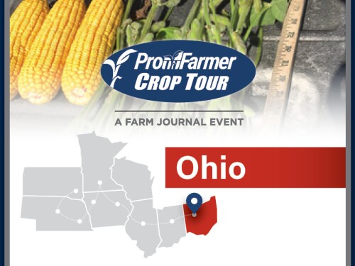 Ohio Crop Tour