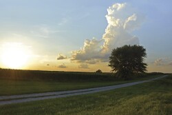 The future will definitely look different from the past. In the long run, what opportunities could farmers harvest? 