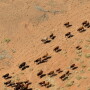 Australia_Cattle_Station