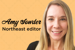 Amy Sowder, Northeast editor