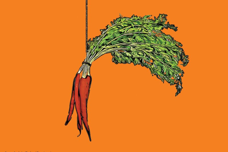 illustration of a bunch of carrots dangling from a string or rope