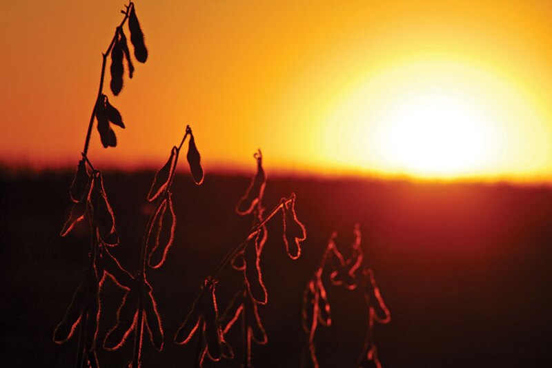 Peter Meyer says the potential is so large, renewable diesel and aviation fuels made from soybeans, has the potential to be bigger than what ethanol was for corn in the first couple decades of the 2000s. 