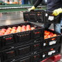 ifco packing