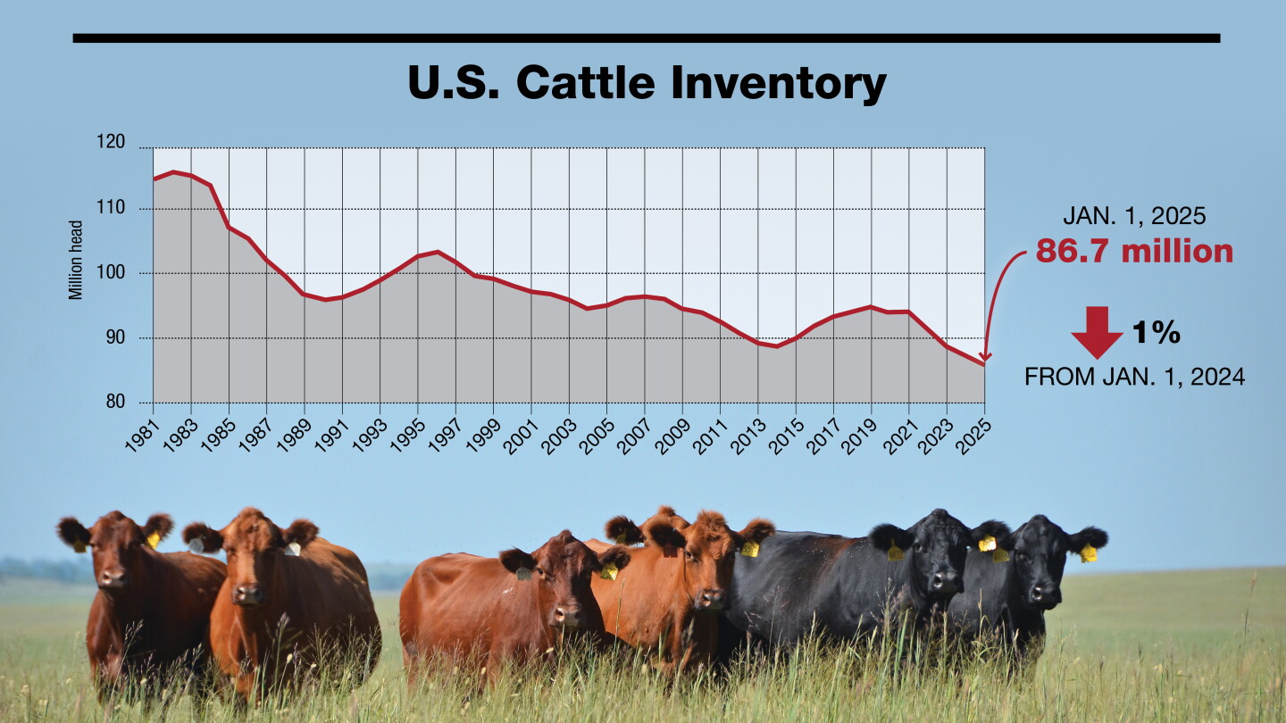 U.S. Beef Cattle Inventory Falls to the Lowest Level in 64 Years - Drovers