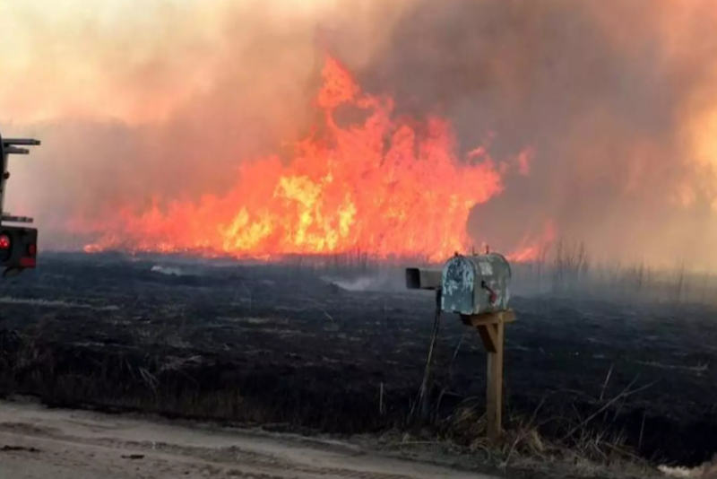 Wildfire