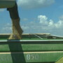 2016 rice harvest in Stuttgart, Arkansas.
