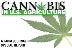 “It’s still unclear whether or not growing hemp falls under the Bank Secrecy Act,” says Curt Covington, executive vice president and chief credit officer at Farmer Mac.