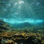 Ocean_Adobe Stock