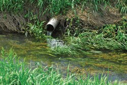 Preventing fertilizer from leaving your fields lowers production cost while increasing yield.