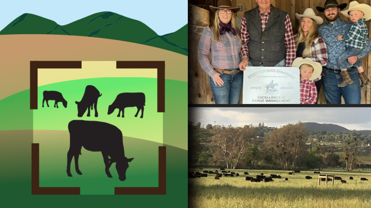 Angel Ranching The Realities of Ranching on the Range - Drovers