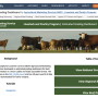 Livestock-grading.jpg