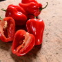 habanero peppers