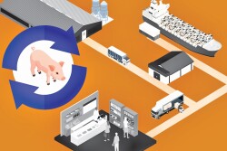 Traceability Pork Supply Chain