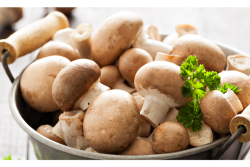 Bowl-of-mushrooms.jpg