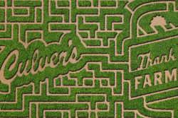 Culvers Corn Maze