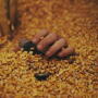 Buried_Alive