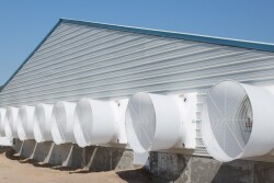 Barn exterior with ventilation tunnels.