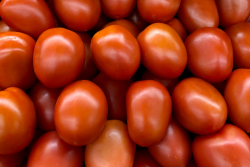 As of last week, the two sides had failed to reach an agreement to end an anti-dumping investigation over Mexican tomato imports and lift a 17.6% provisional tariff, which went into effect in May. 