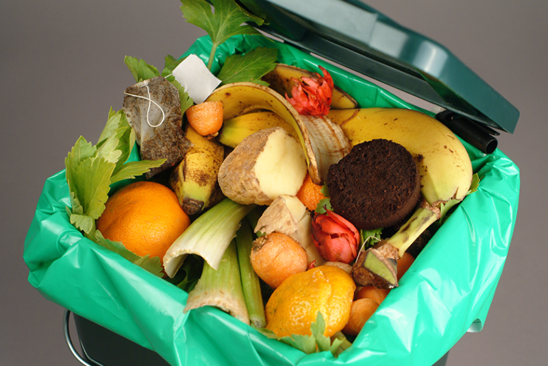 food waste