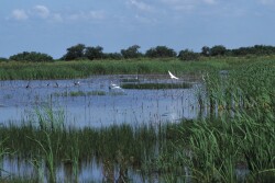 Your land has value beyond crop and livestock production.