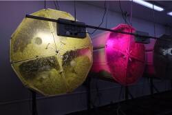 Sprouts at Miami-Based Fullei Fresh grow in rotary drums that rotate occasionally and have nozzles inside that spray water, says CEO Olivia Wong.