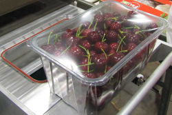 Cherries in a StePac top-seal container cuts plastic use compared to traditional clamshells 20-30%, according to the company.