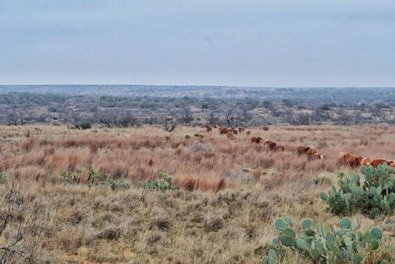 San Pedro Ranch