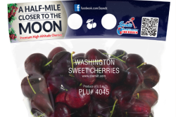 A35185AF-26A4-43A9-8C6CDCDBD1F17E2E.png