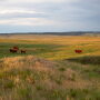 South Comanche Ranch, Byers, CO