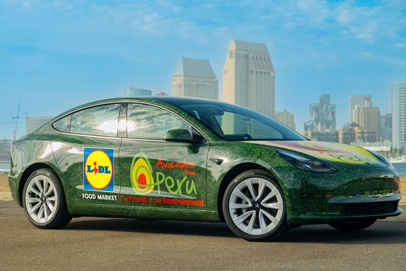 Lidl to feature Peruvian avocado campaign