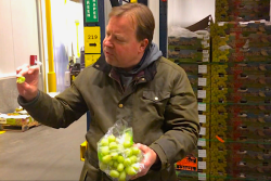 At the Philadelphia Wholesale Produce Market, Tom M. Kovacevich, president and chief operating officer of T.M. Kovacevich-Philadelphia, explains how small retail buyers pay attention to the details in variety. 