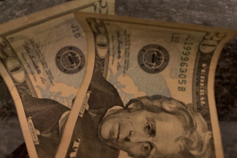 Eligible veterinary technicians, assistants and nurses may apply for a one-time $500 grant.