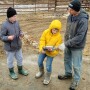 interns on a dairy