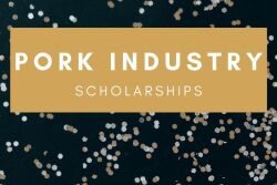 Scholarships Canva.com