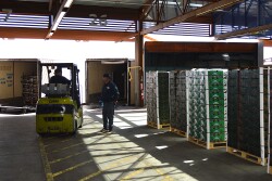Workers unload fresh produce imported from Mexico for inspection by U.S. Customs and Border Protection at the Mariposa Land Port of Entry in Nogales, Ariz. Imports of several fresh produce items from Mexico have increase significantly in recent years. 