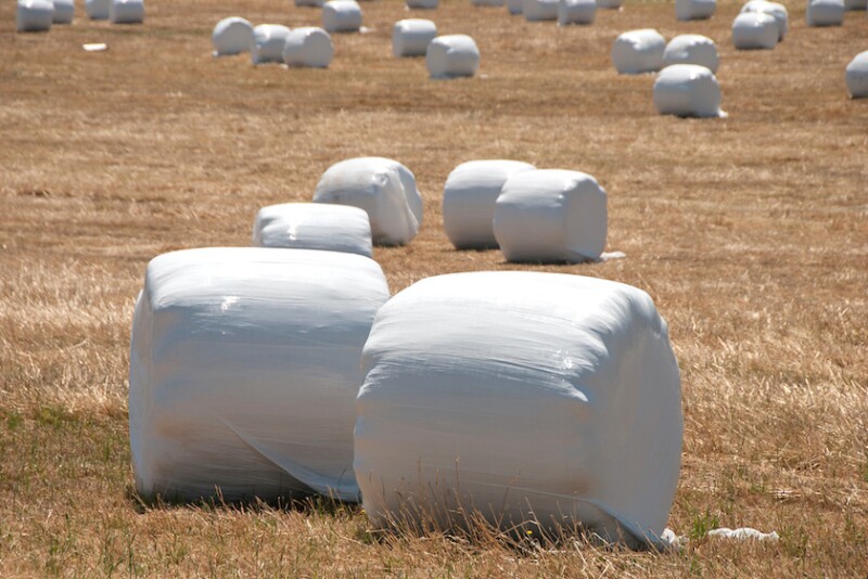 Wrapped Bales_Adobe Stock